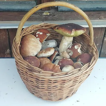 Apartamento Bezbariérové Na Statku