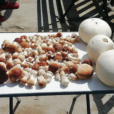 Bezbariérové Na Statku Apartamento *